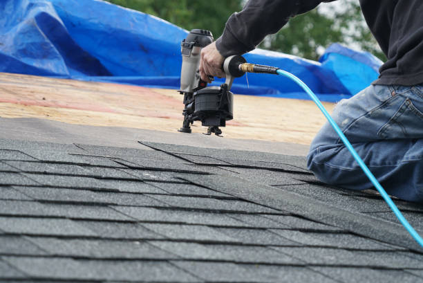 Asphalt Shingles Roofing in Herrin, IL